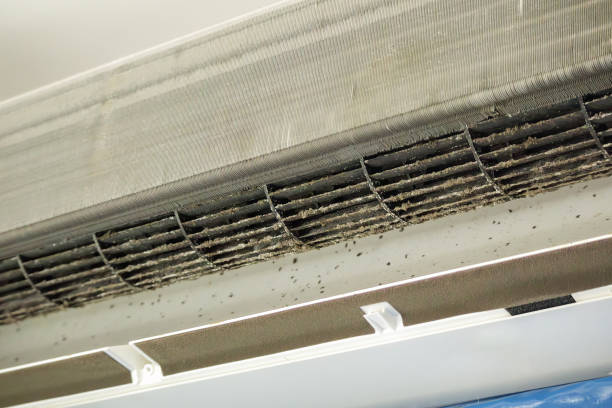 Best Air Duct Cleaning Near Me in Lewisville, NC